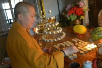 门口辟邪种这些植物可以辟邪保平安