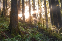 婴灵的危害,要尽量避免堕胎