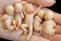 多大的孩子堕胎是婴灵？千万不要被忽悠，听听佛家大师怎么说