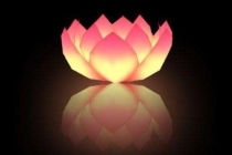 补财库后的注意事项／八字原局财库戌辰相冲