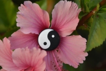 五行法术中能让你一生受用的风水招财之法