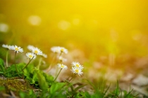 堕胎婴灵附身怎么样才能够帮助超度？